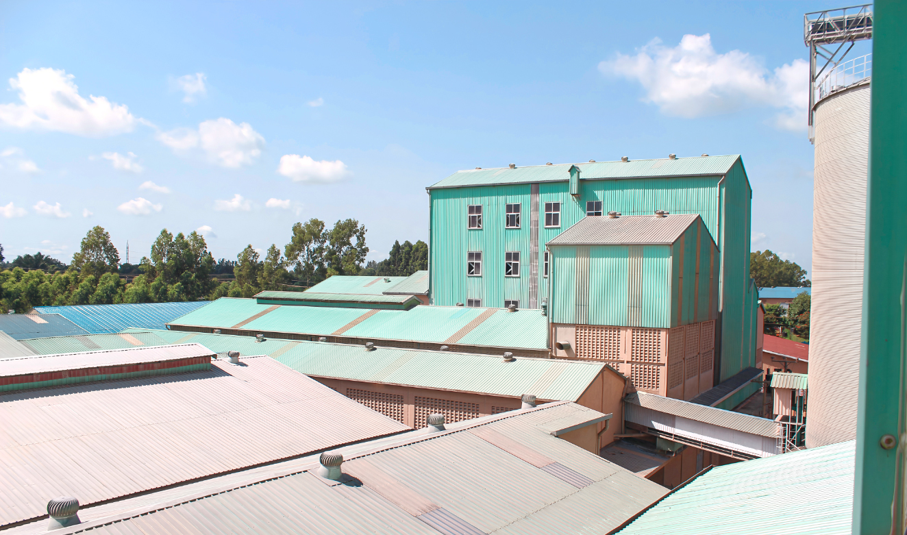 300TPD Maize Flour Plant in Kenya