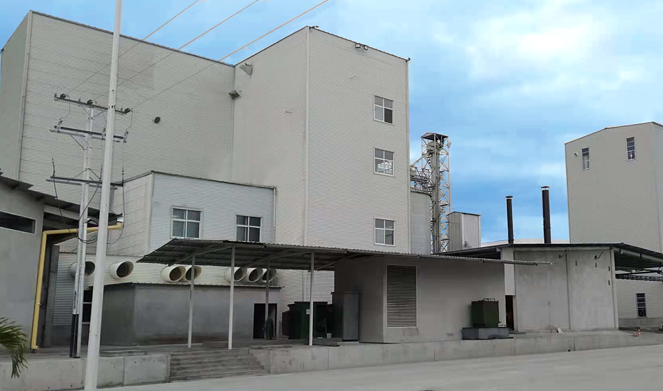 300T/24H & 200T/24H MAIZE MILLING PROJECT IN SOUTH AMERICA