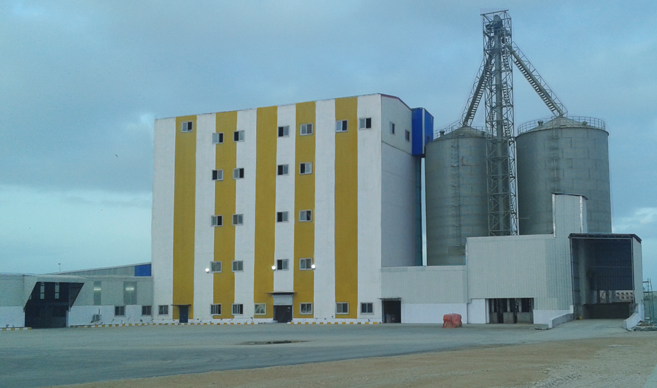 Oman 180T/D Wheat Processing Technique