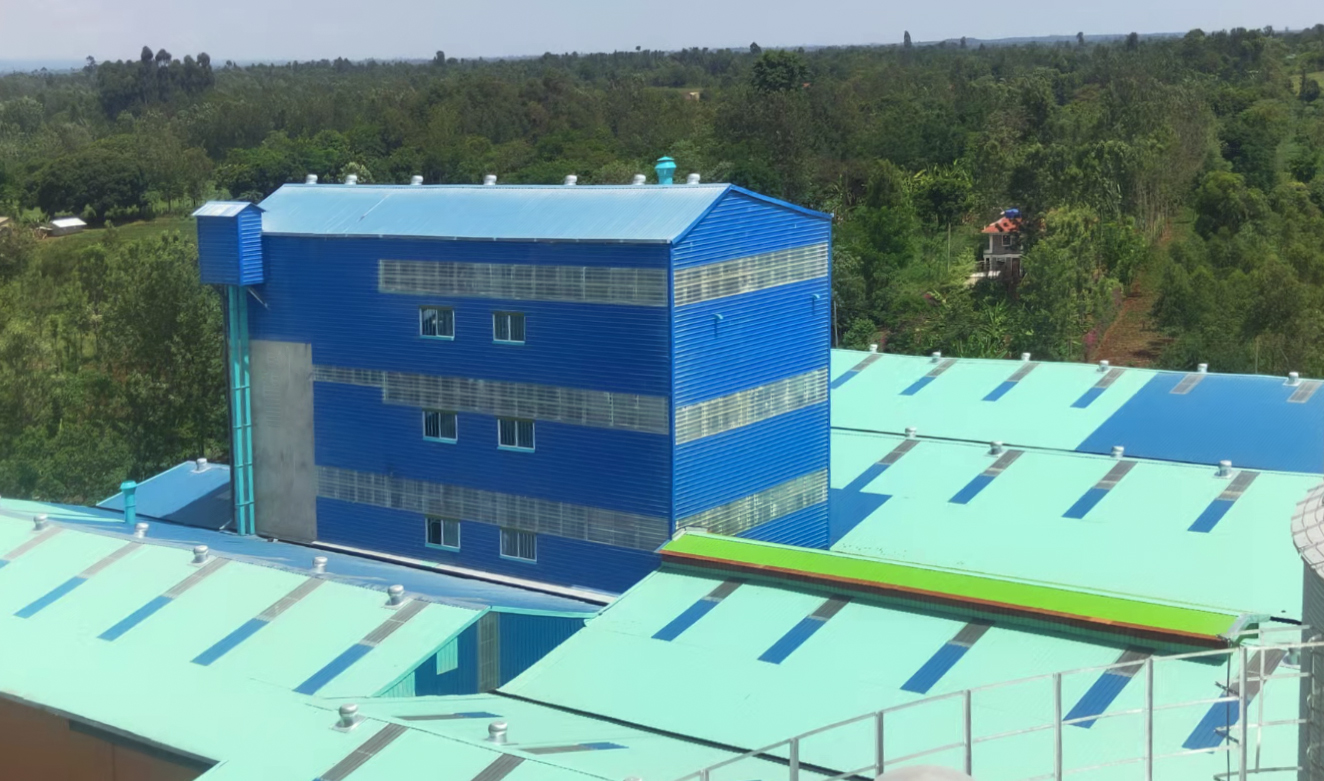 Installation site of 120T/24H wheat flour milling machine
