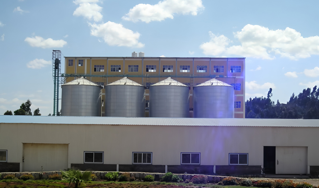 500 Ton Per Day Building‑Structure Wheat Flour Mill, Ethiopia
